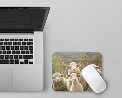 FUNNY Sheep Animals Mousepad / (Motif 90): Quality mousepad made of extremely tear-resistant special rubber with strong adhesive underside compatible for all mouse types