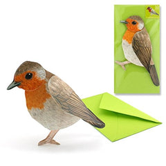 "ROBIN" Pop-Up Card / 3D Card - lovingly made greeting card for bird lovers