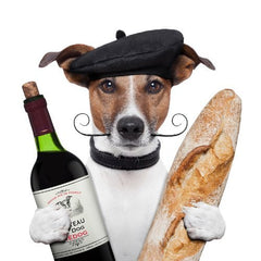 CHICO - THE FRENCHMAN Funny invitation card for dinner or wine tasting; funny dog ​​invites you to dinner with wine and baguette